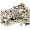 Buy Enigma mushroom online and experience its unmatched potency. this rare mushroom offers unique visuals and profound effects. Fast and discreet shipp...