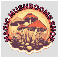 buy magic mushrooms